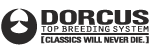 dorcus top breeding system